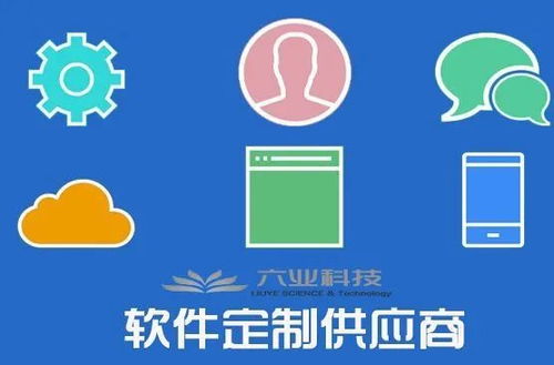 企業(yè)青睞定制開發(fā) 軟件定制熱度為何急劇上升？